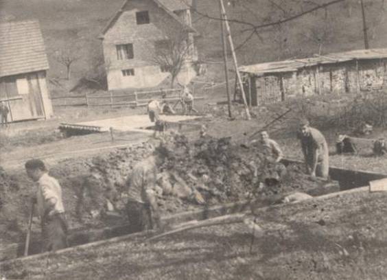 image019
