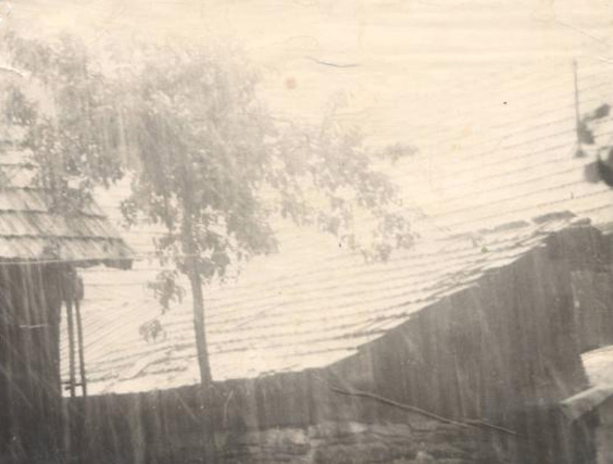 image004