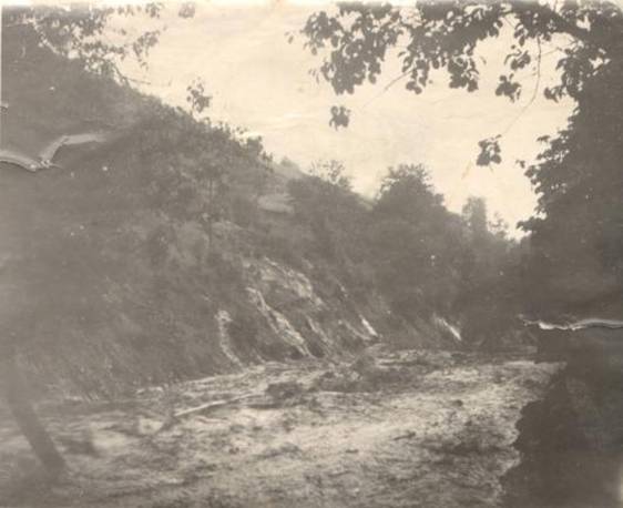 image006