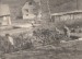 image019