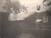 image003 (1)